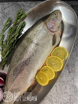Форель охлажденная Атлантическая Баренцево Море 1,5-2гк