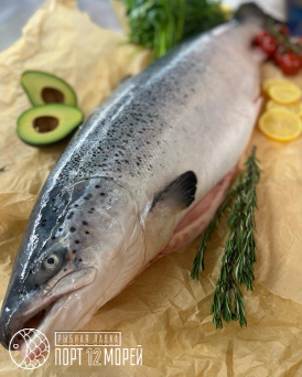 Семга охлажденная Атлантическая Баренцево море