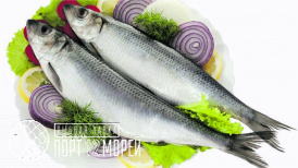 Сельдь Атлантическая  слабой соли