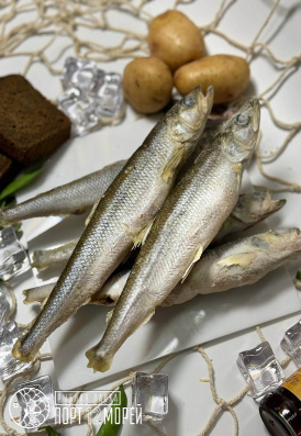 Корюшка с/м