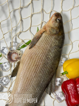 Муксун подледный 1,8-2,2 Якутия 2026 г