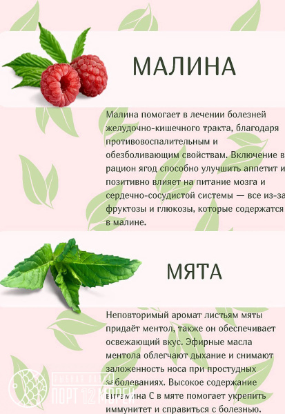 “Сибирь Тибет” чай черный непальский с сибирской малиной и мятой, плиточный, 96 г.