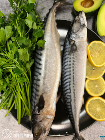 Скумбрия свежемороженая
