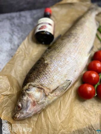 Чир подледный 3-4 Якутия 2026 г с/м 