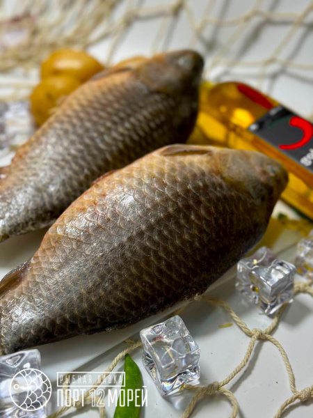 Карась кобяйский  свежемороженый