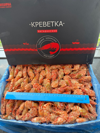 Гренландская креветка МОРСКОЙ ДРАКОН 70/90 (1 КГ)