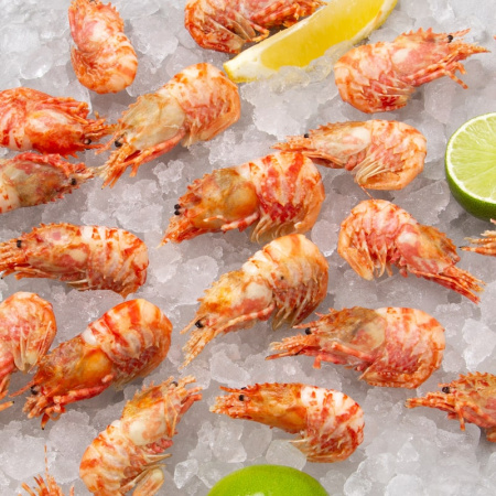 Гренландская креветка МОРСКОЙ ДРАКОН 70/90 (1 КГ) Гренландская креветка МОРСКОЙ ДРАКОН 70/90 (1 КГ)