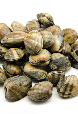 Вонголе варено-мороженное в собственном соку 0,5 кг. Вонголе варено-мороженное в собственном соку 0,5 кг.