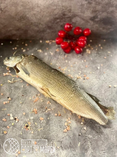 Сиг вяленый