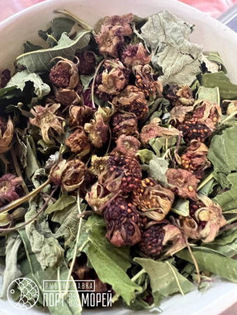 Алтайские травы в ассортименте