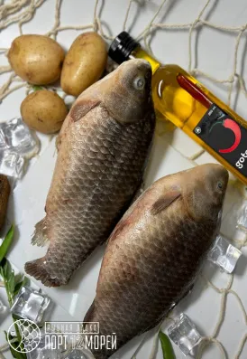 Карась кобяйский  свежемороженый