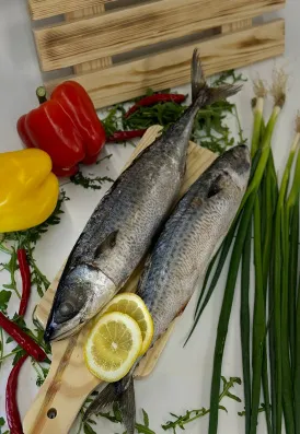 Скумбрия свежемороженая