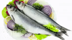 Сельдь Атлантическая  слабой соли