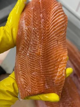 Филе морской форели Мурманск 